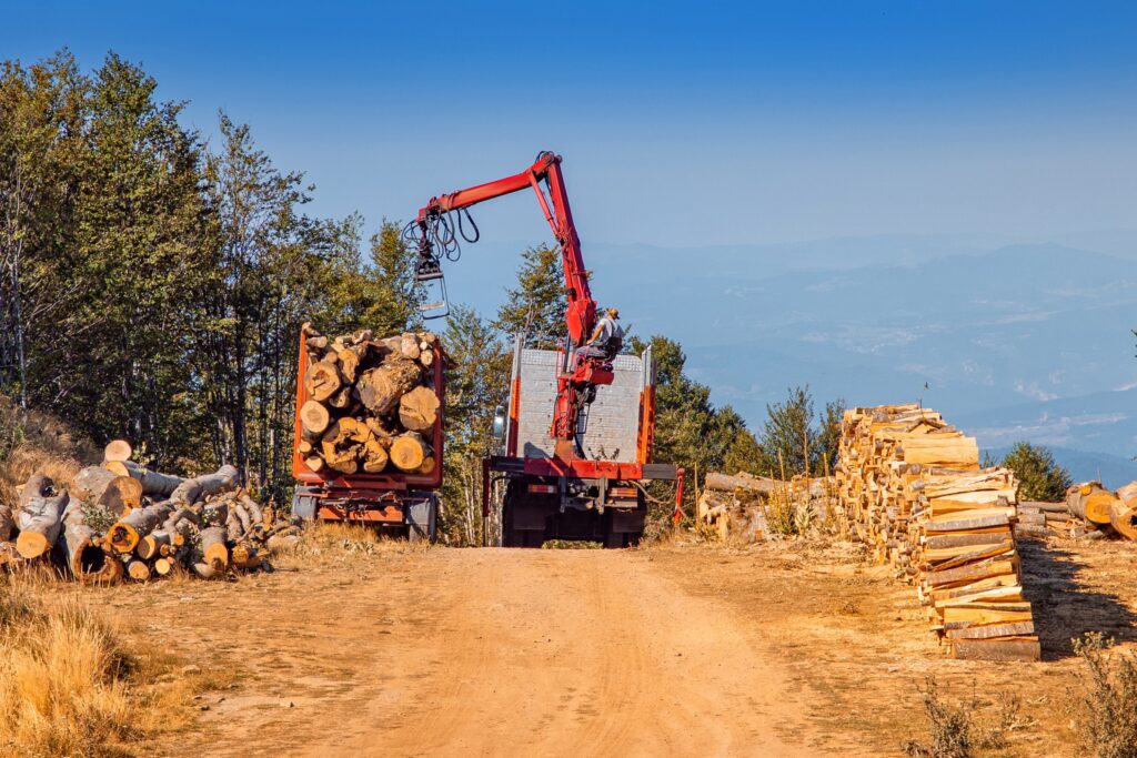 Timber business logging trucks and equipment