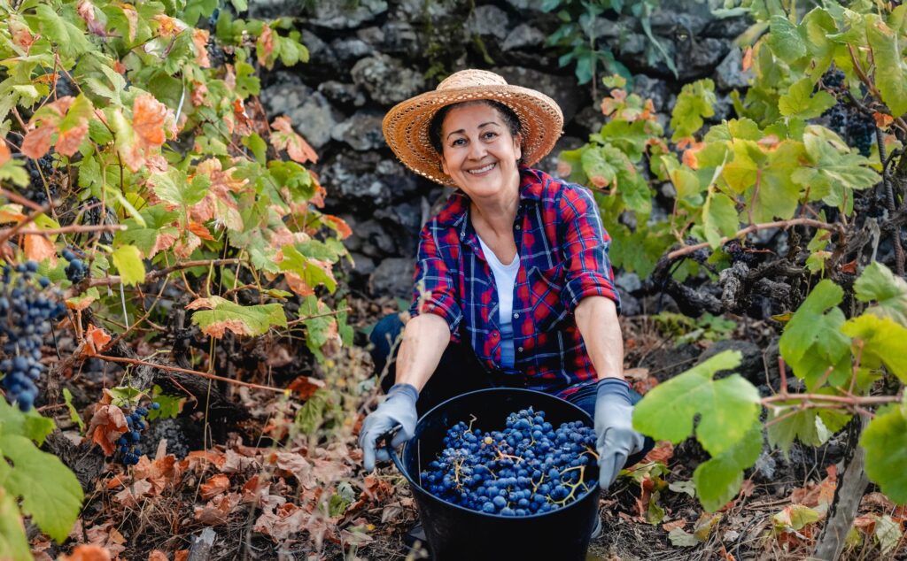 Blueberry farmer