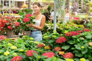 Agrigultural business worker