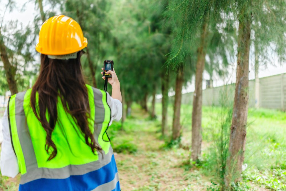 Forestry service worker