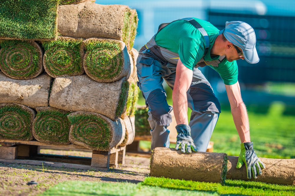 Landscaper at work