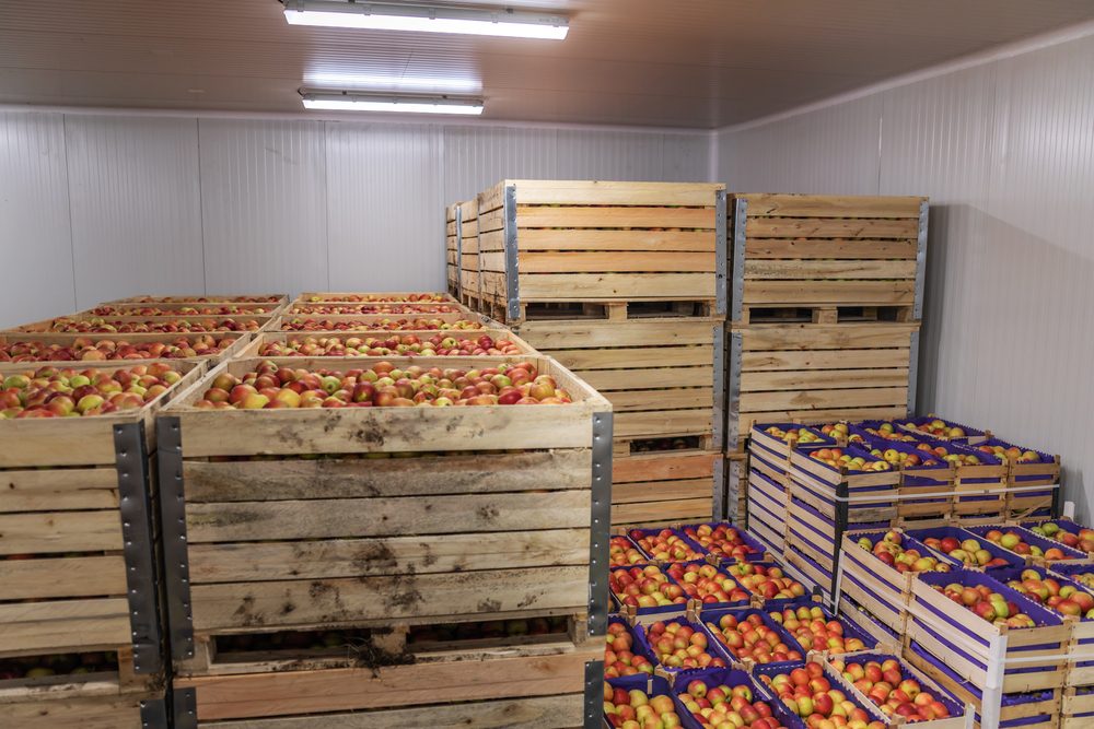 Wooden crates full of fruit