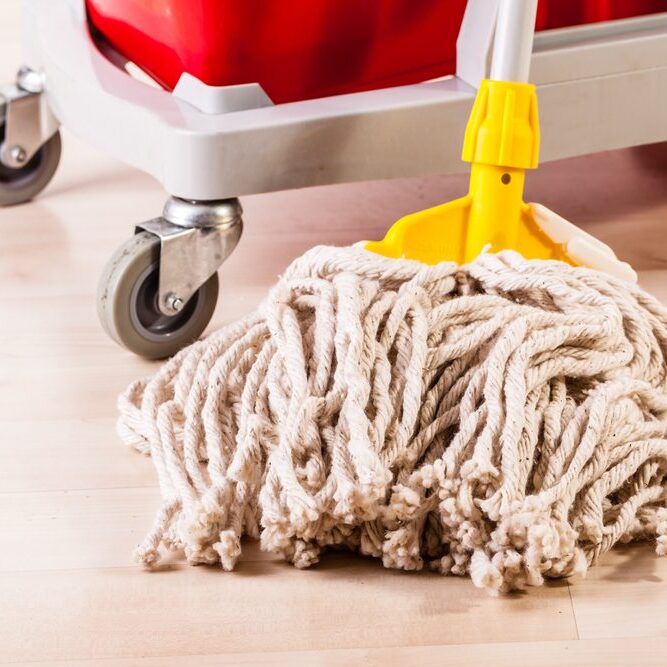 Janitorial services